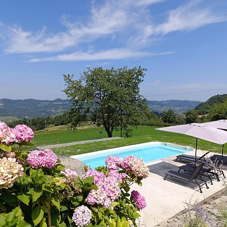 Agriturismo La Margherita San Giorgio Scarampi 外观 照片