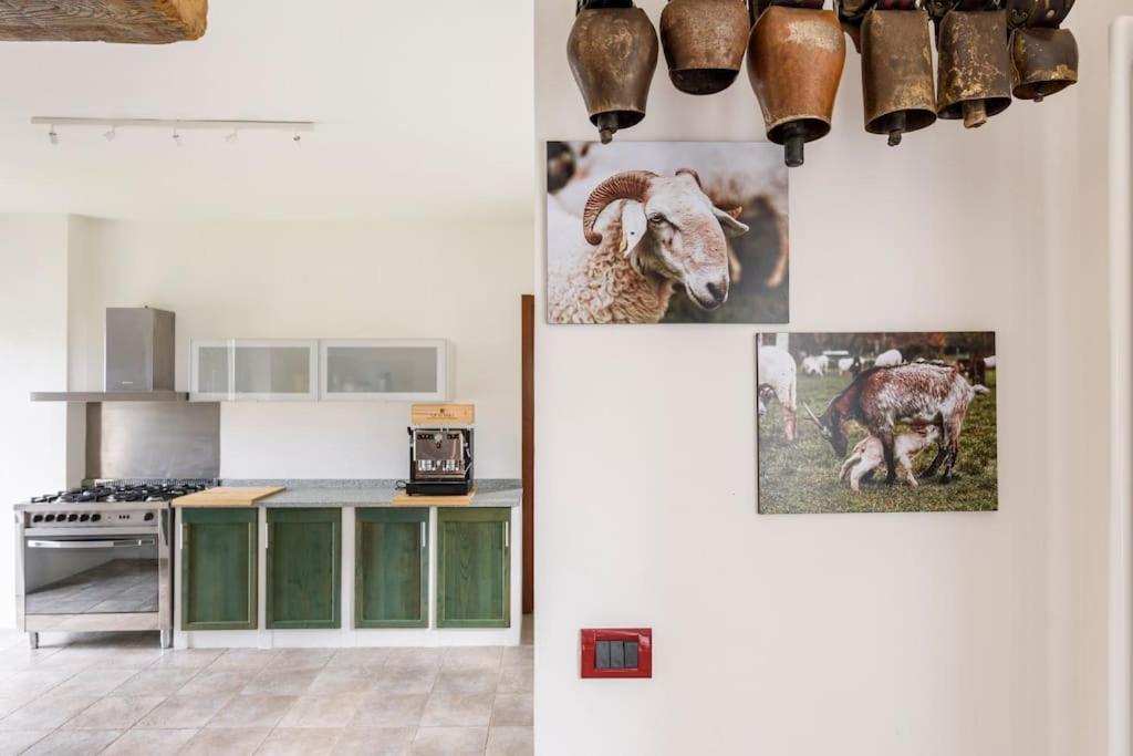Agriturismo La Margherita San Giorgio Scarampi 外观 照片