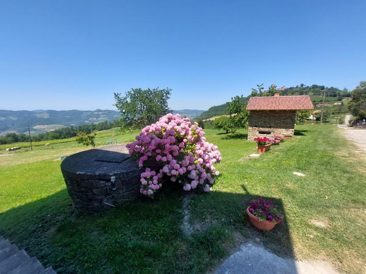 Agriturismo La Margherita San Giorgio Scarampi 外观 照片